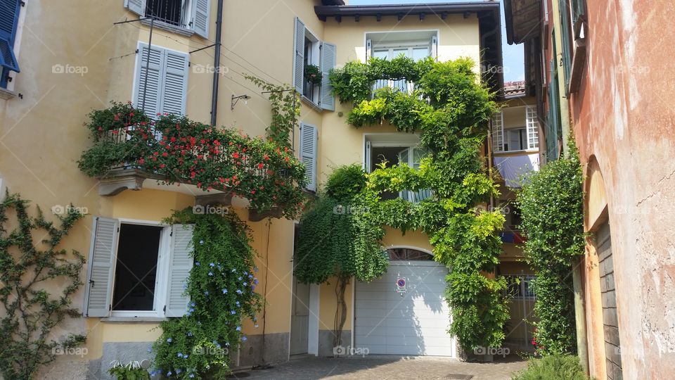 This is a tipical house in Italy with plants on the walls
