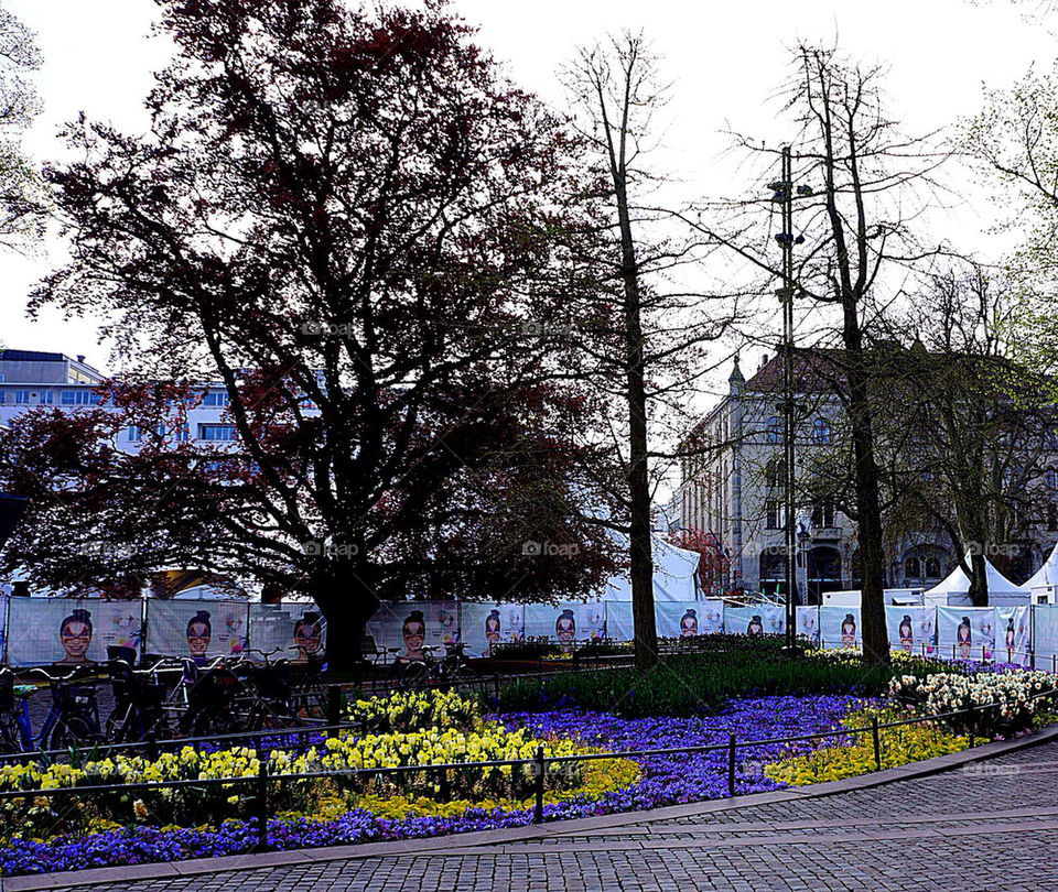 Eurovision, ESC, Malmö, Gustav Adolfs torg,