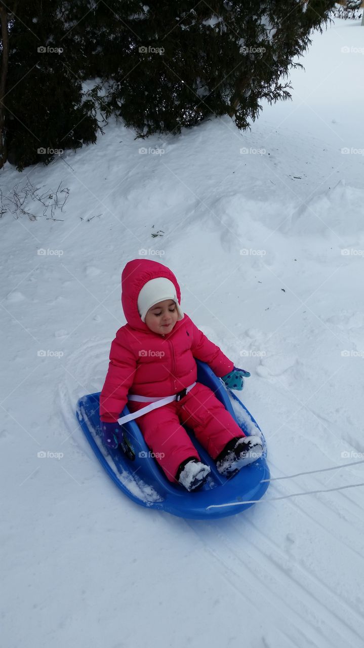 Winter, Snow, Cold, Sled, Sledge