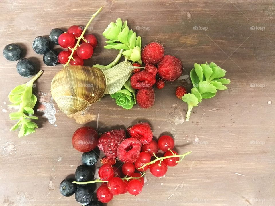 Rustic image of berries on a wooden table with green leaves and snail