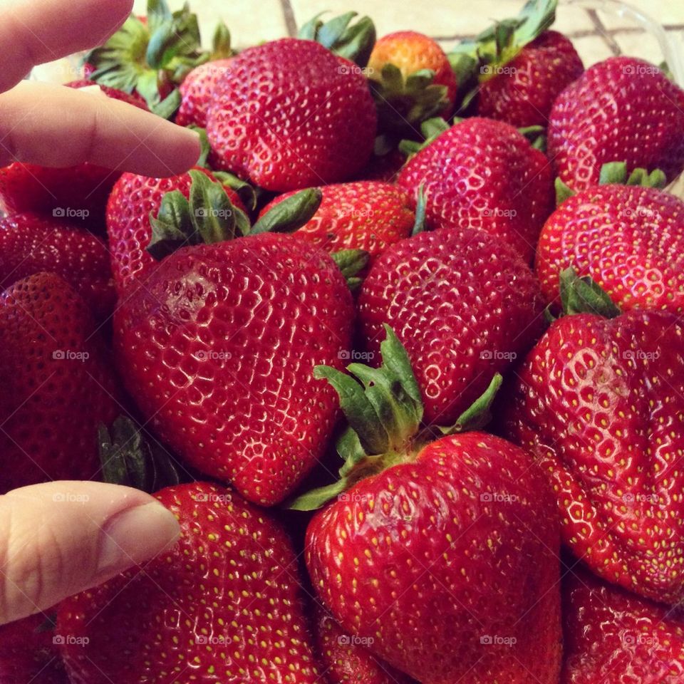 Strawberries for days