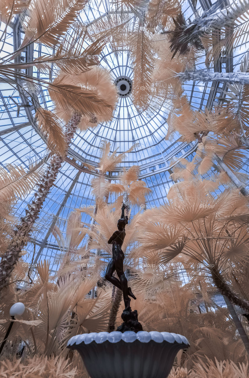 Wide-angle view of the Palm Dome inside Como Park's Marjorie McNeely Conservatory. Infrared. Saint Paul, Minnesota.