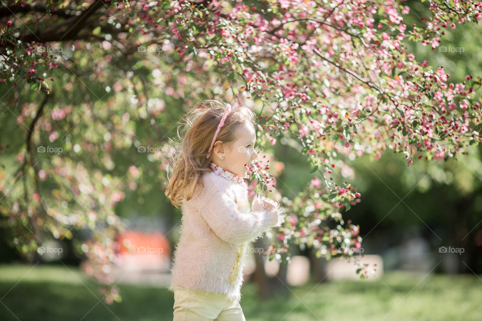 Cute Little girl in a blossom park