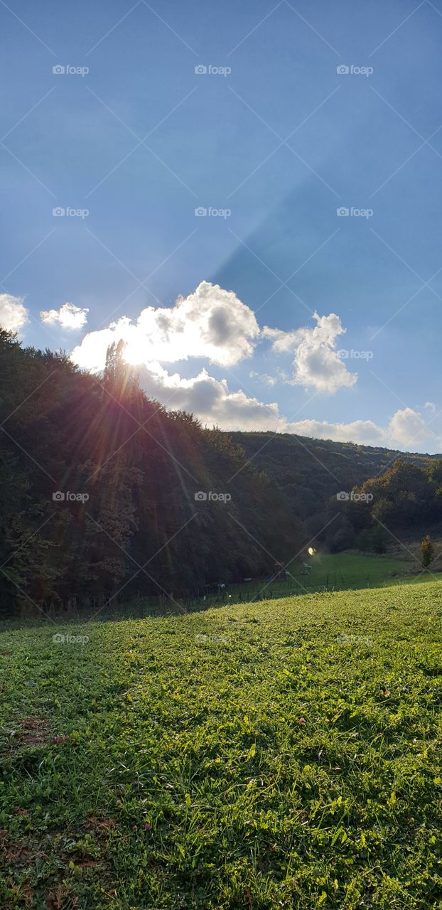 sunny day in the nature