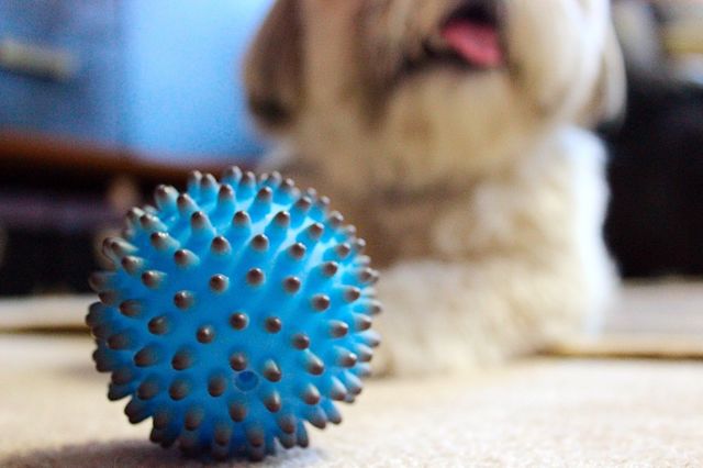 Ball