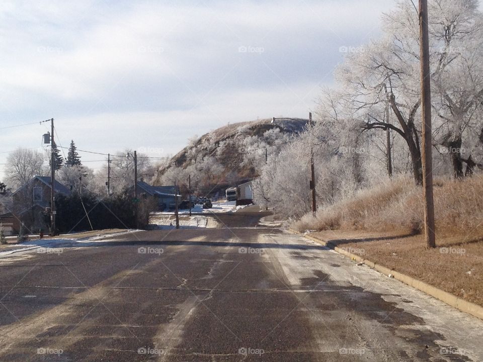 They Still Live Here