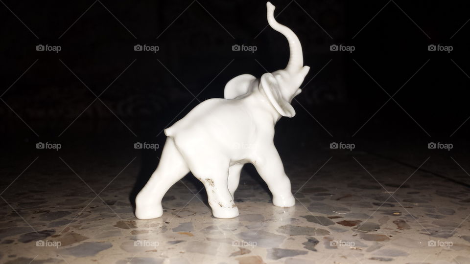 elephonte
