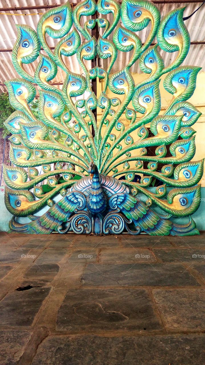 super Stylish of big peacock