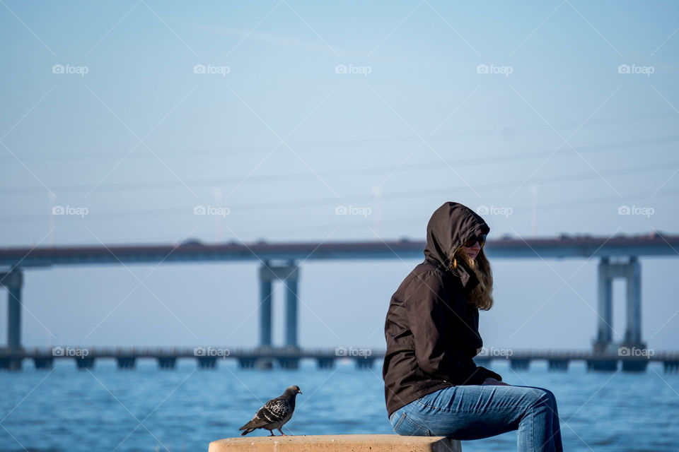 Bird Brained Companion