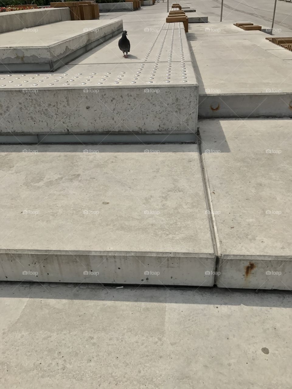 Concrete, Expression, Cement, Pavement, Stone
