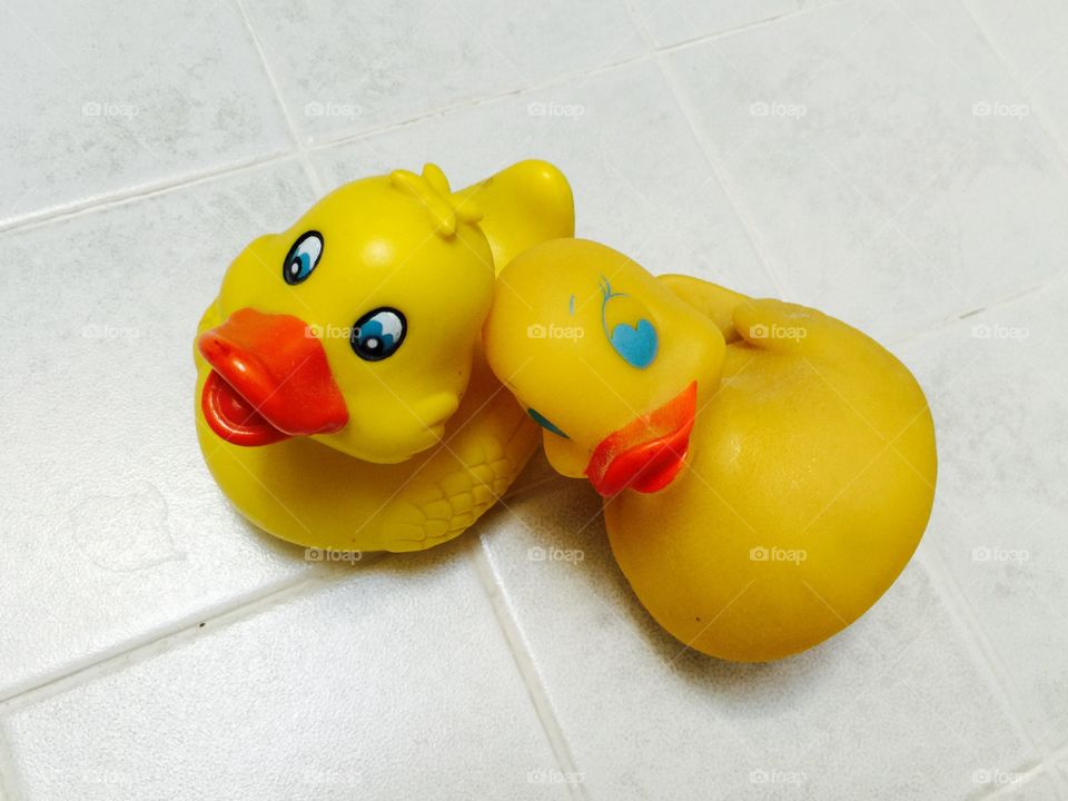 My duck