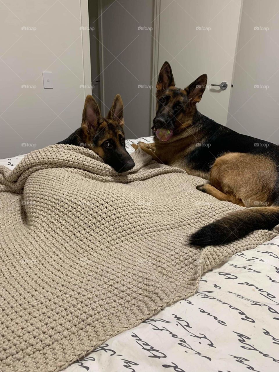 Dad... where's mum!! its bedtime.. tell her to hurry up!!