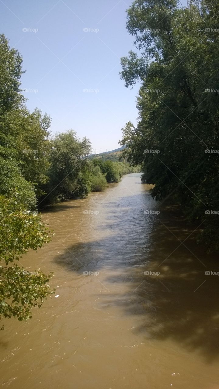 River Vardar and forest around