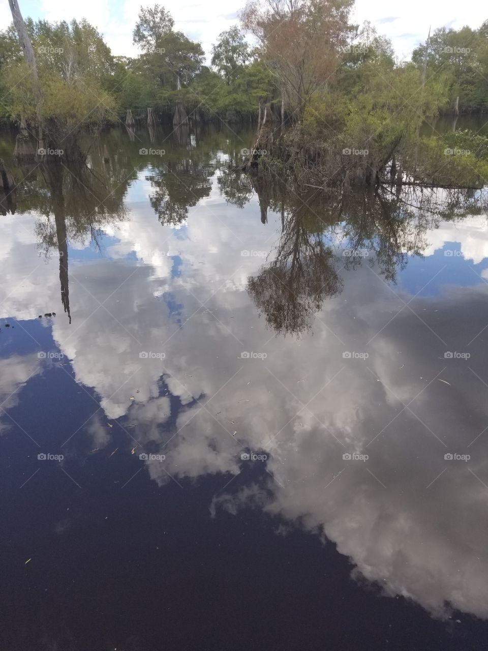 Chipola River in Florida the reflection of the sky on the river