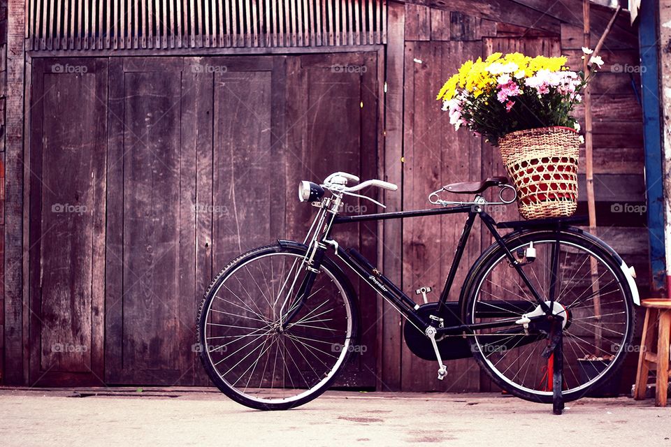 Yellow flower.. Yellow flower on bicycle in winter Pai Thailand.