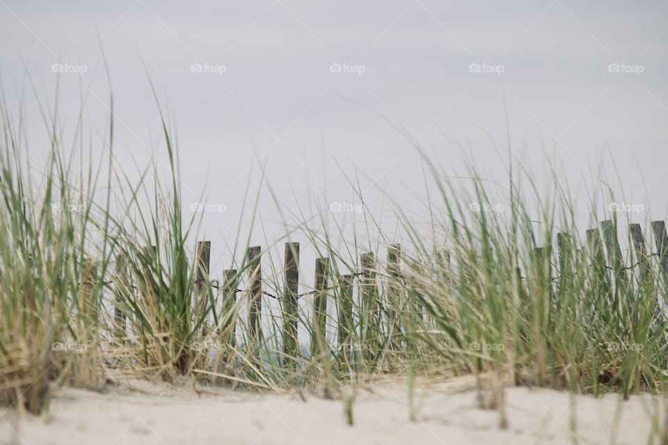 Windy day on the beach