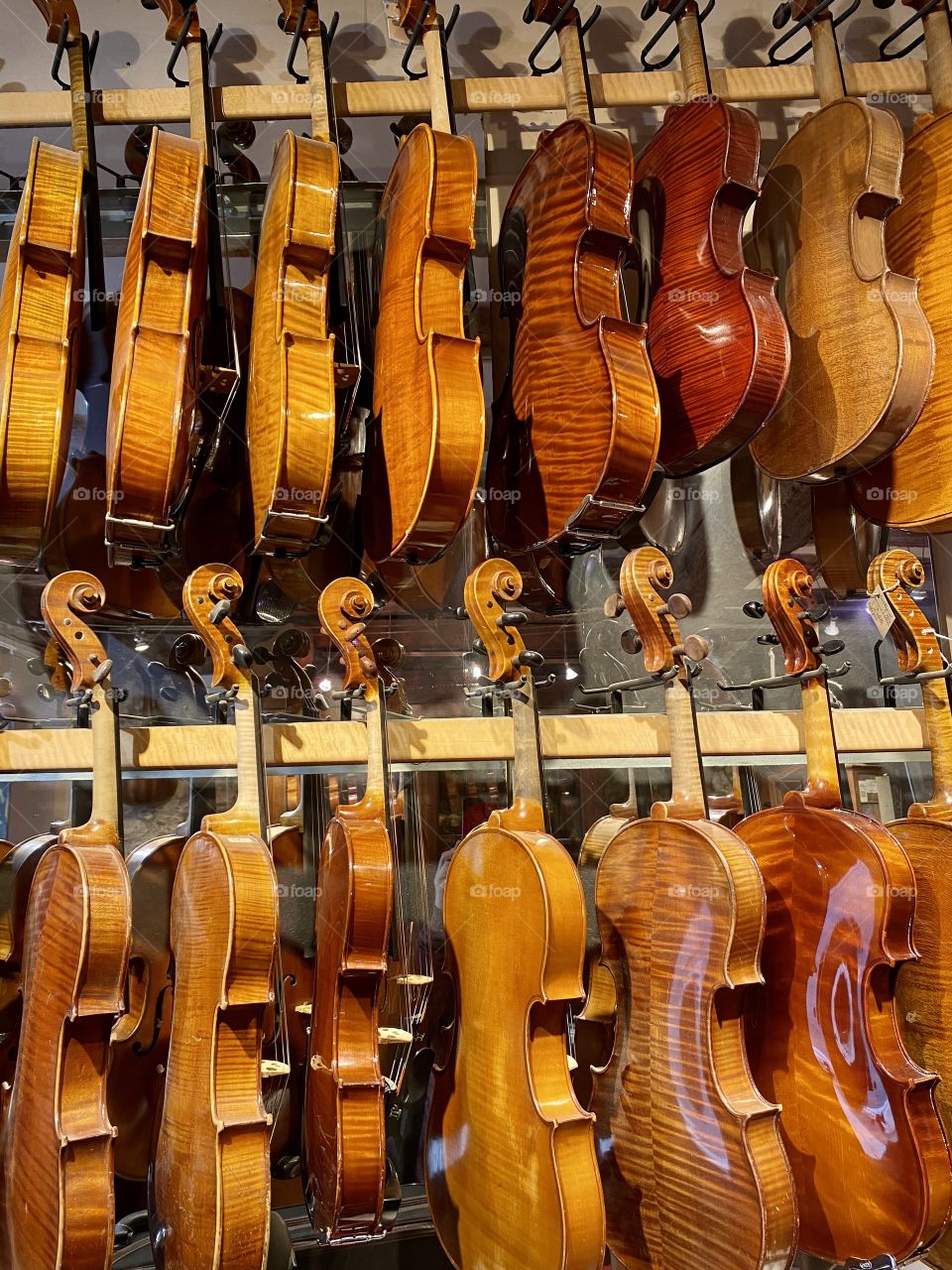 Violin showcase at a luthier's