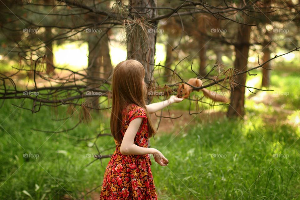Little girl feeds a squirrel with nuts in the park