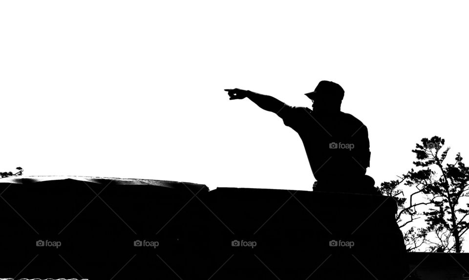 Silhouette of pallet Director pointing to the left