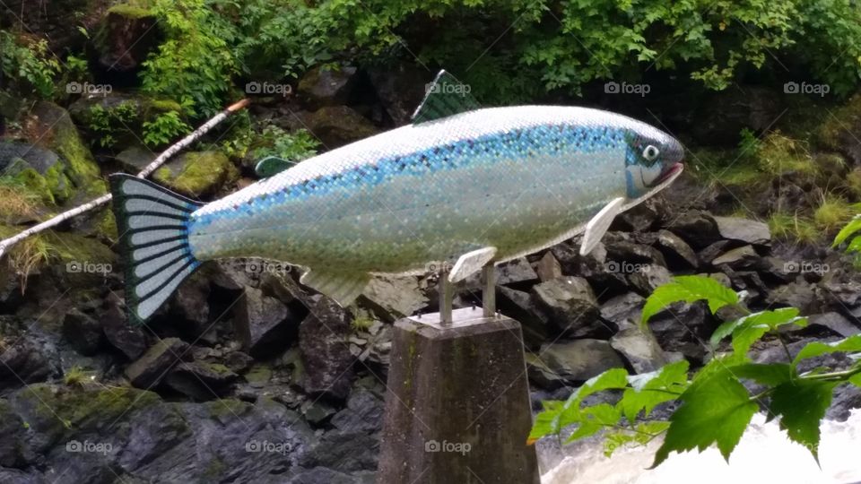Blue Fish. We saw this art in Ketchikan, Alaska.
