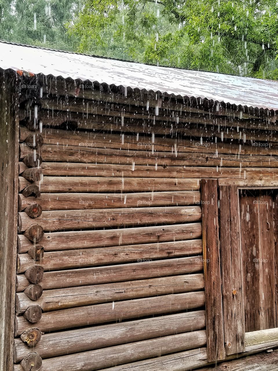 The sound of rain hitting a very, very old tin roof on a mid 1800's log cabin Louisiana