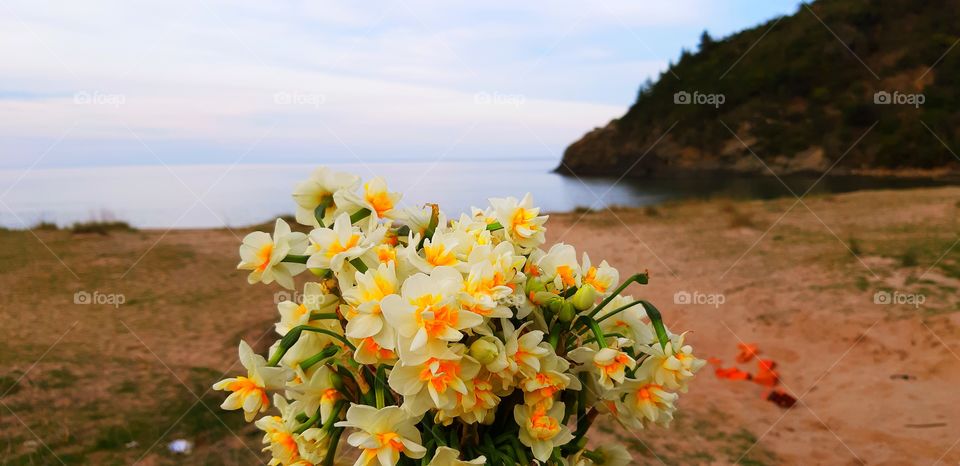flower sea