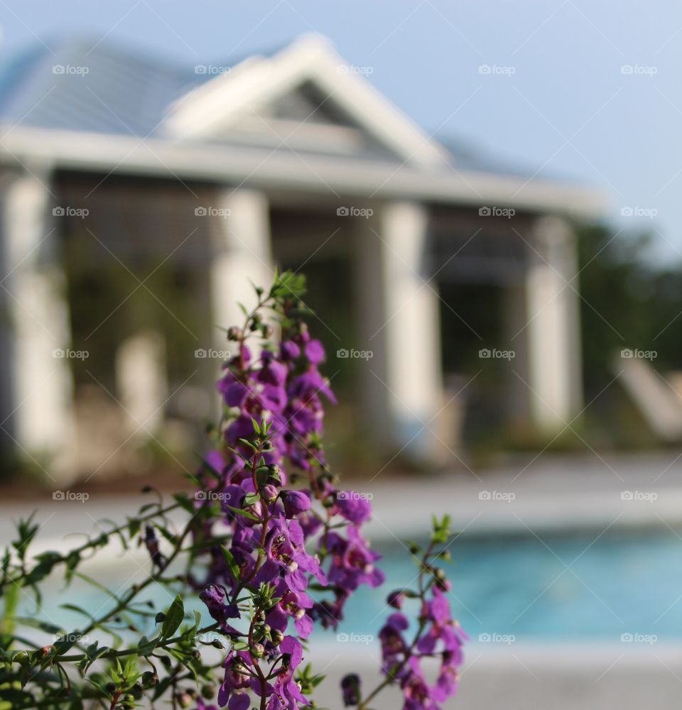 View along poolside