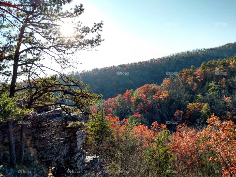Appalachian Autumn Vista