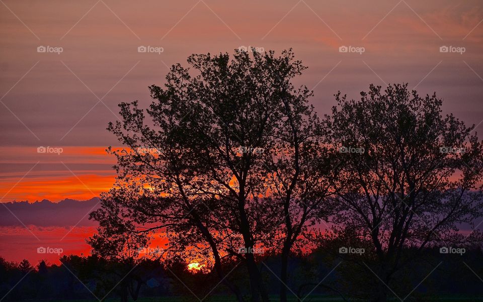 Colorful Sunset