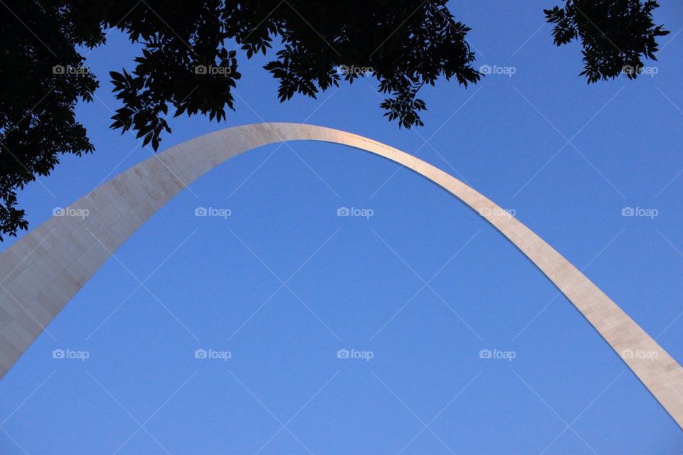 Arch under the trees