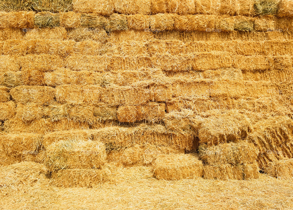 yellow straw texture closeup on a hot autumn day. harvest as a symbol of autumn season