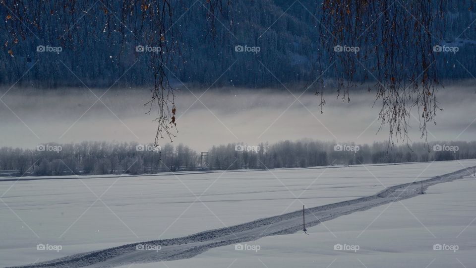 Winter Landscape