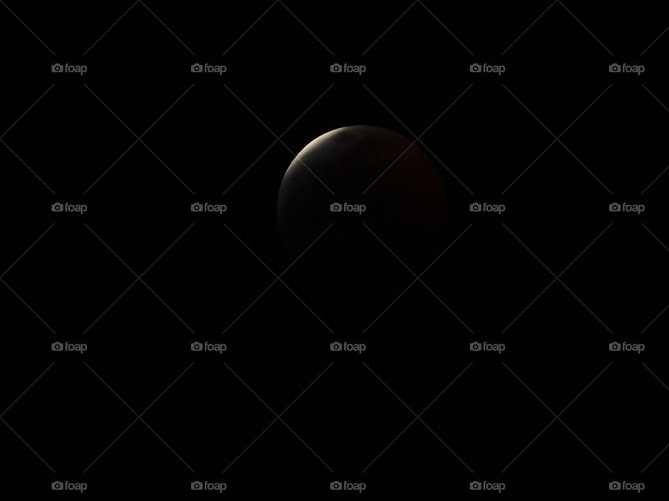 Blood Moon Eclipse 2019