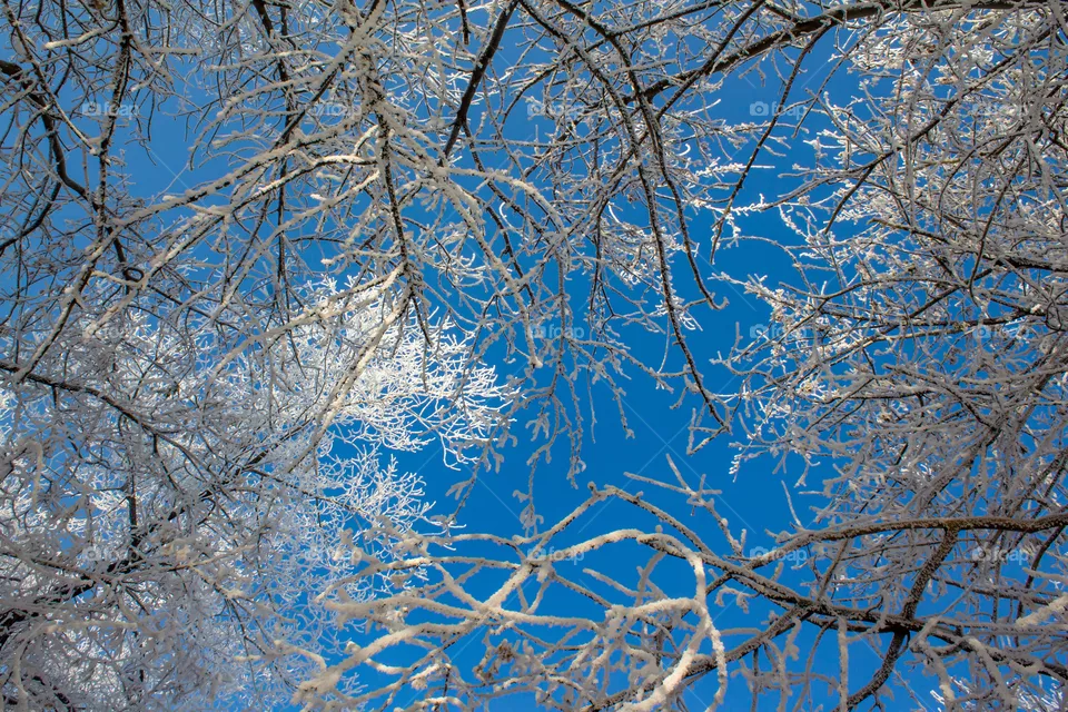Nature.