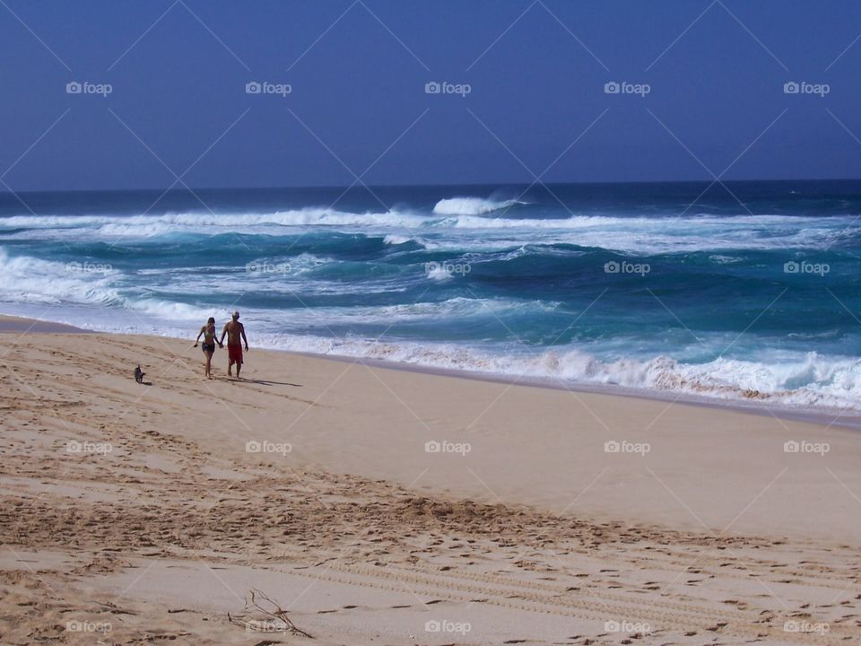Couple & Dog at Sunset Beach. A couple and their dog walk down Sunset Beach on Oahu's North Shore as waves roll in.