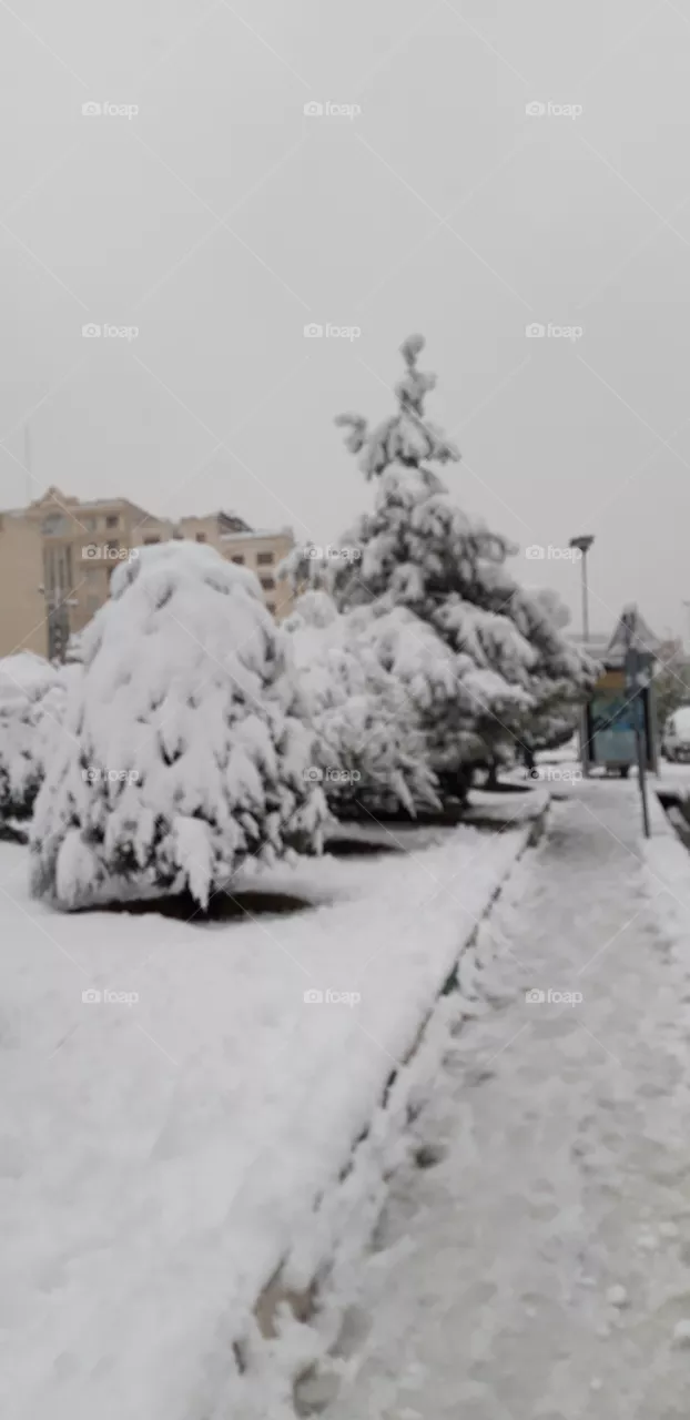snow