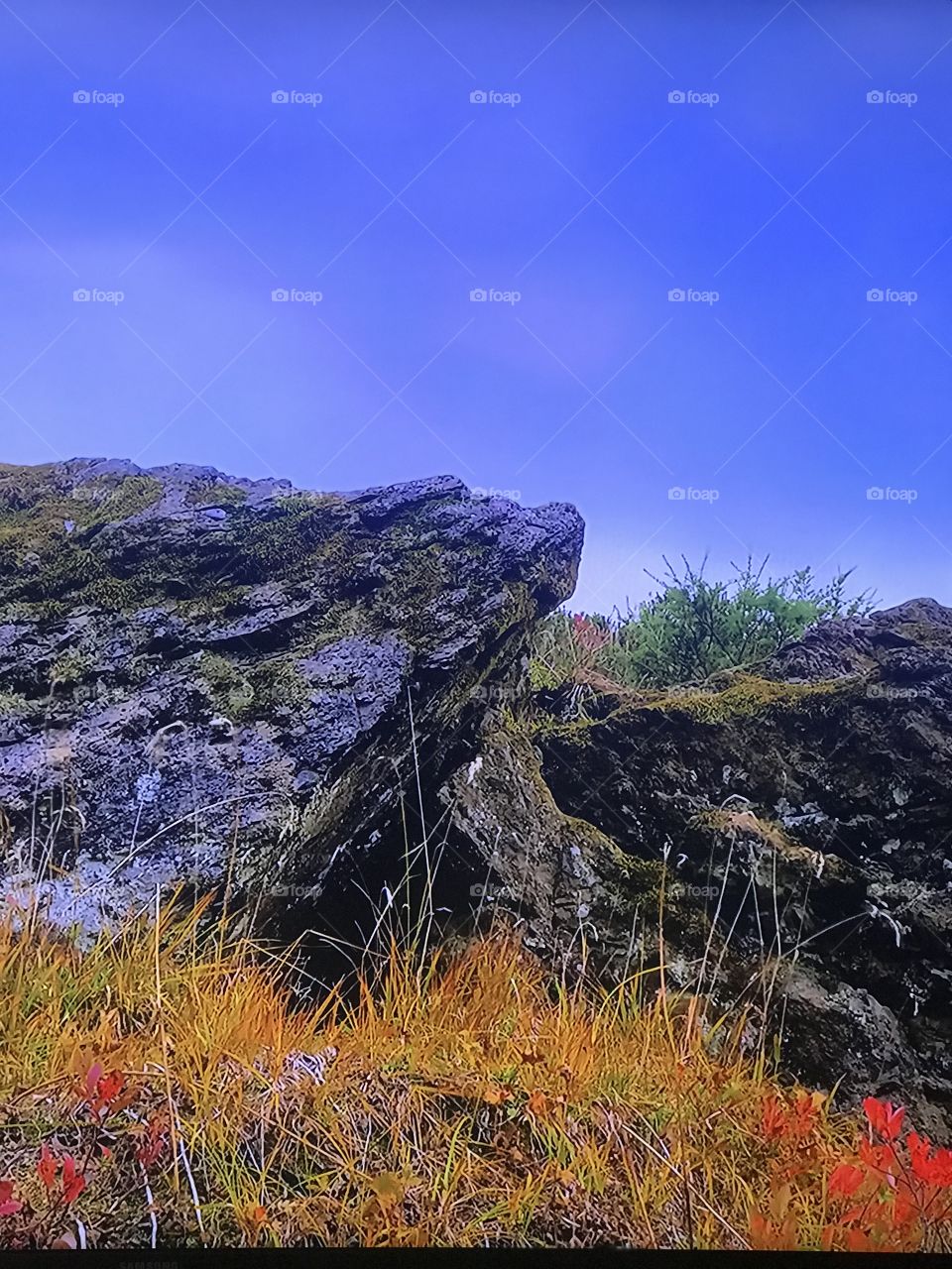 Washington Autumn Park 