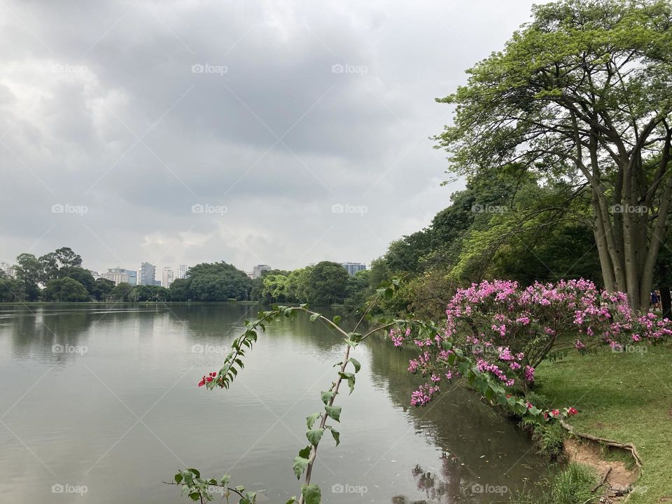 Nós estivemos passeando em São Paulo (Parque do Ibirapuera, capital paulista). Uma paisagem bonita no meio da Selva de Pedra.