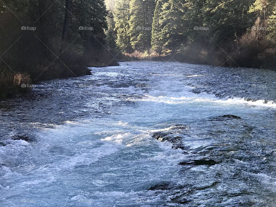 Morning sunlight begins to break through forest trees and light up Wizard Falls on the Metolius River in Central Oregon on a cold winter morning.