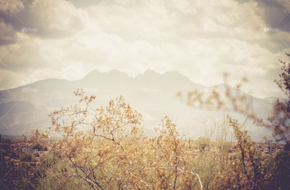 Four Peaks Arizona. Hiking through the desert Southwest