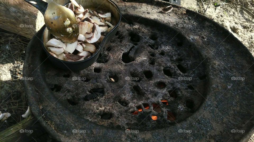 Cooking in the forests