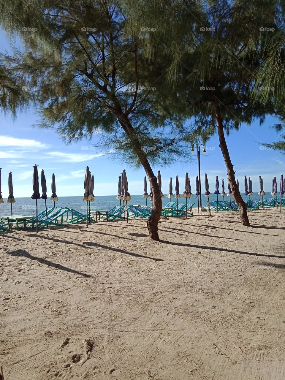 Beach picnic chairs