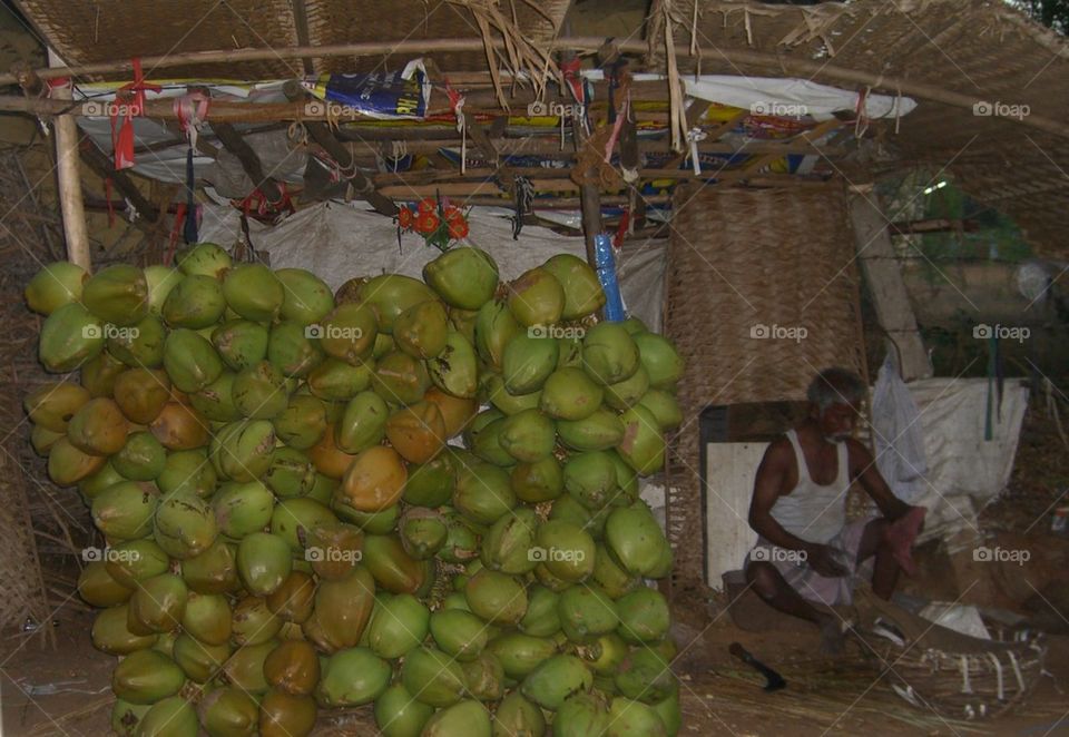 India coconut store