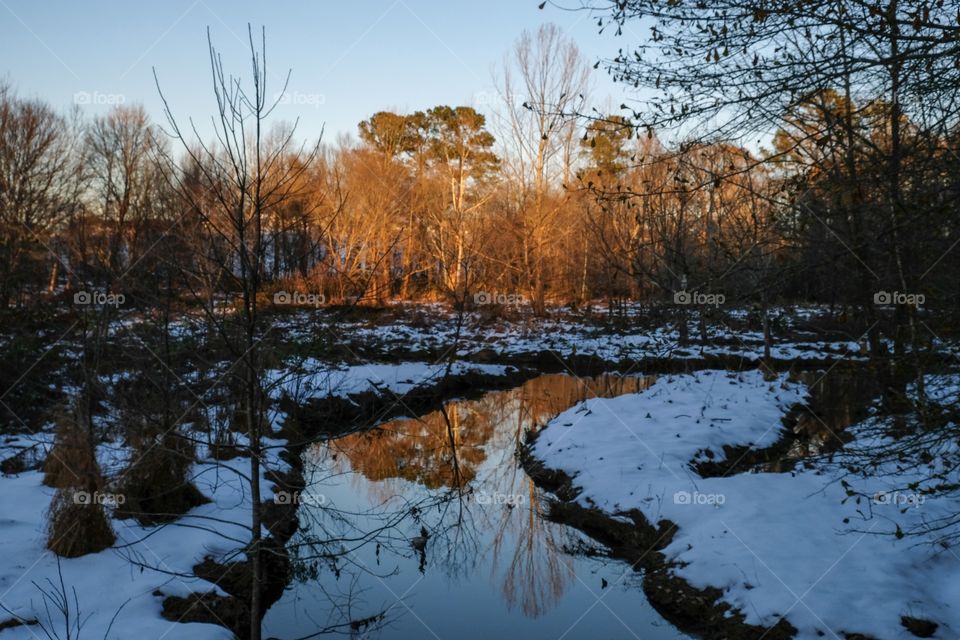 The last kiss of the waning sunshine on the trees with a mirror reflection in the creek and snow covered ground at Yates Mill County Park in Raleigh North Carolina. 