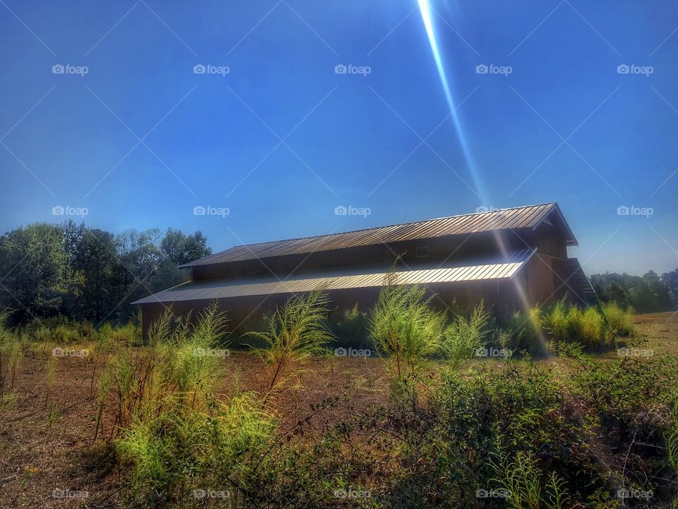 Barn In Field
