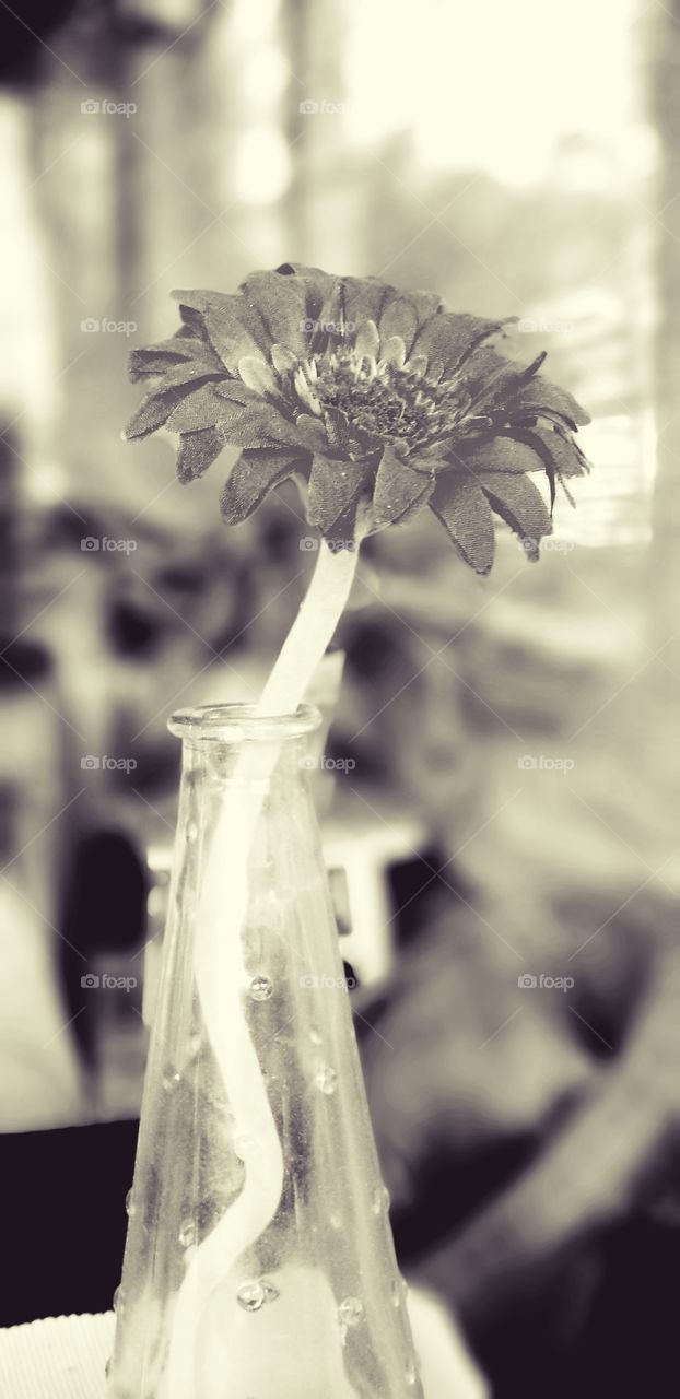 Vintage Looking Flower