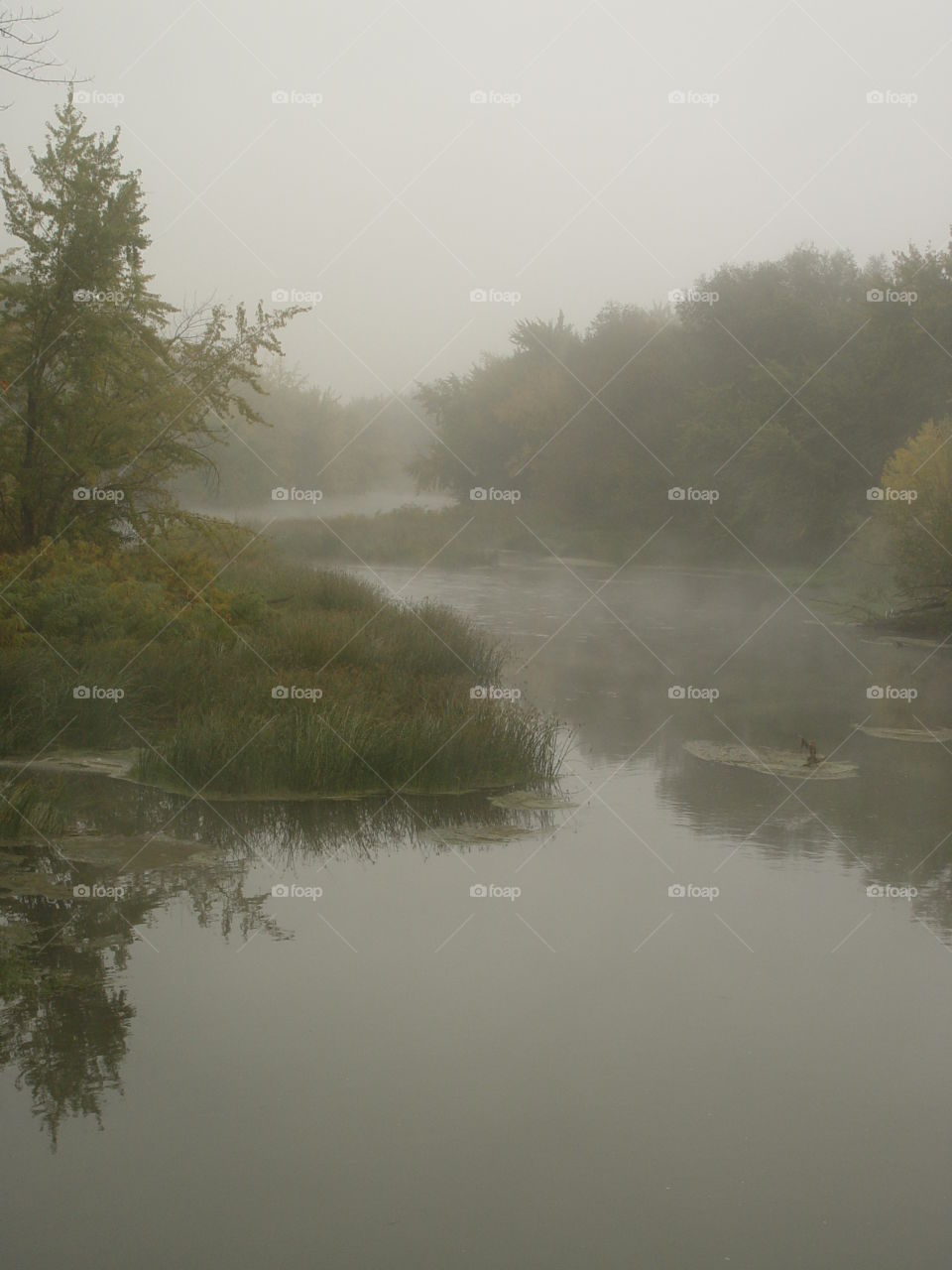 River in fog