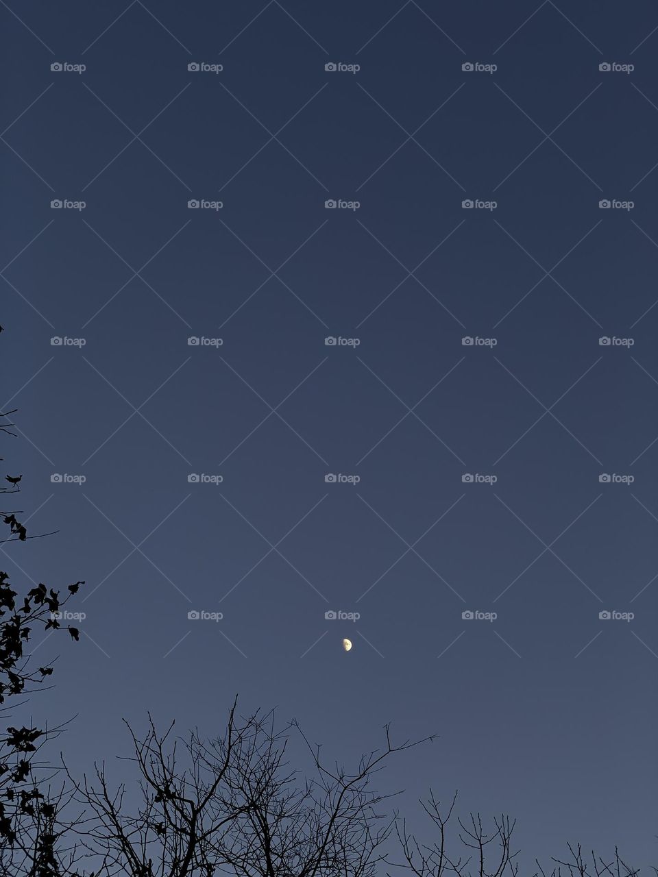 The half moon against blue sky.