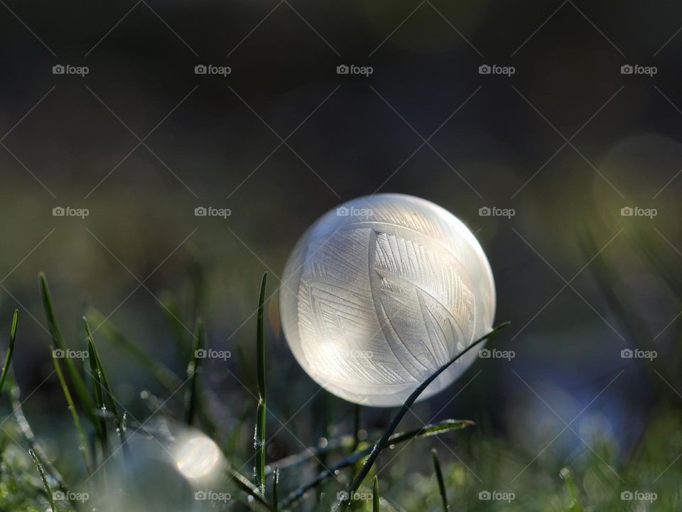 Frozen soap bubble