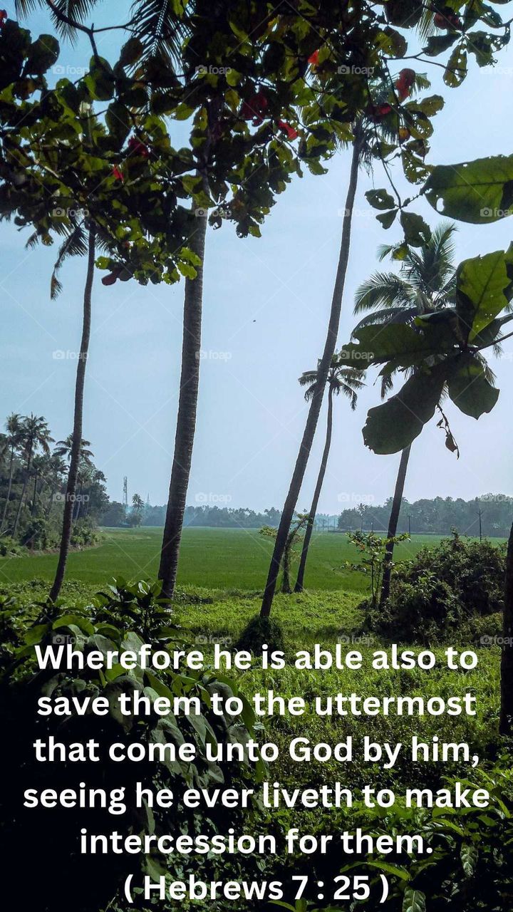 Beautiful nature scenery